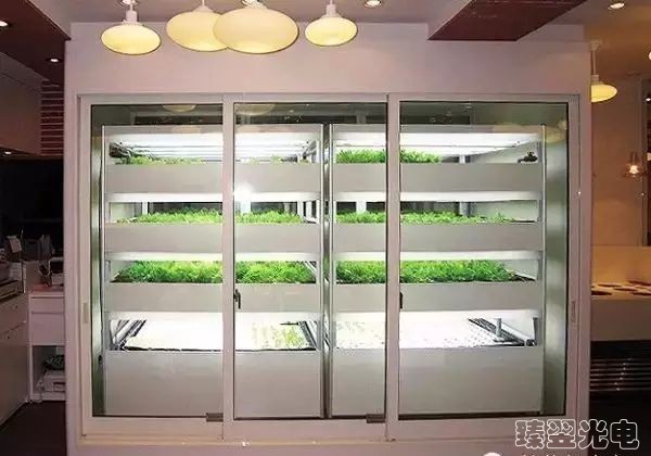 光纖照明，光導照明，植物栽培