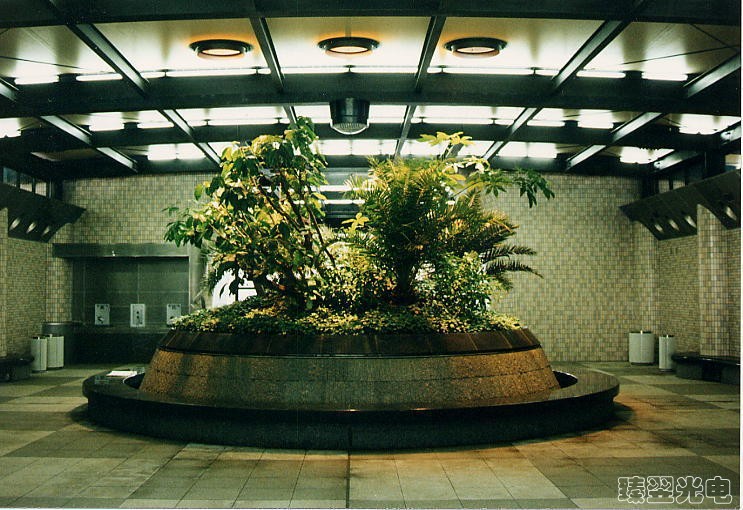 光導照明，光纖照明，室內植物照射